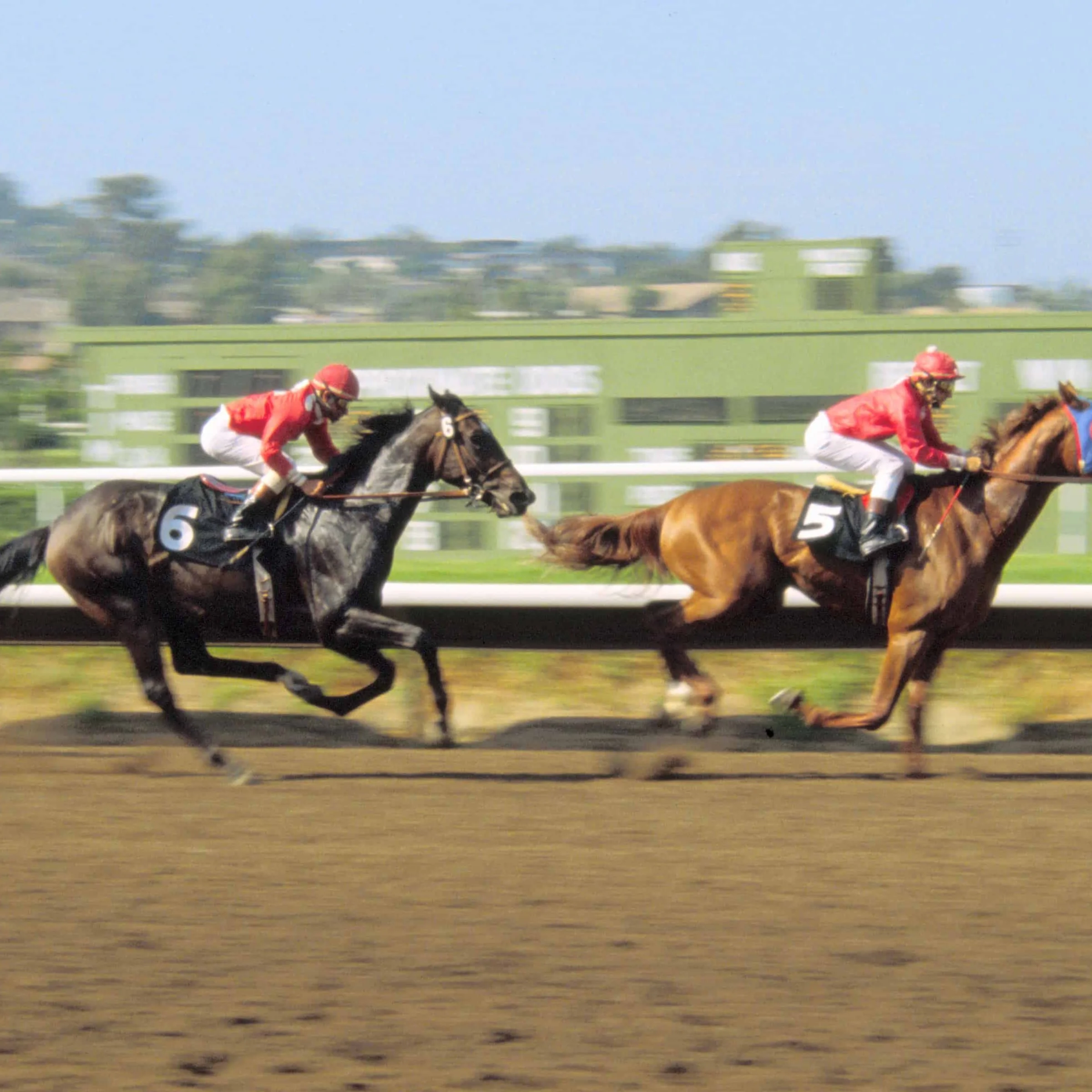 horse_racing_at_the_del_mar_racetrack_in_del_mar_ca